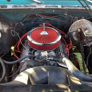 Meet your Posher, Austin